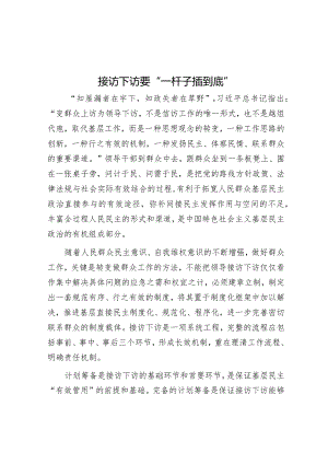 学习时报：接访下访要“一杆子插到底”.docx