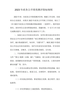 2023年政务公开绩效测评指标细则.docx