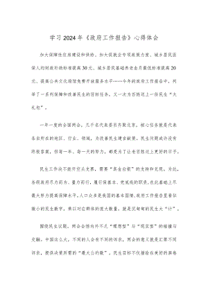 学习2024年《政府工作报告》心得体会.docx