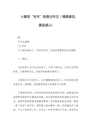 8篇写“冬天”的高分作文 情真意切, 真实感人.docx