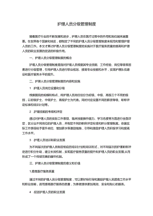 护理人员分级管理制度.docx