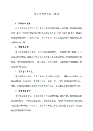 雾天驾车安全出行指南（2024年）.docx