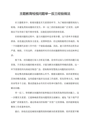 主题教育检视问题举一反三经验做法.docx