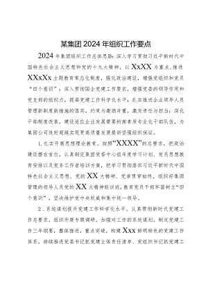 某集团2024年组织工作要点.docx