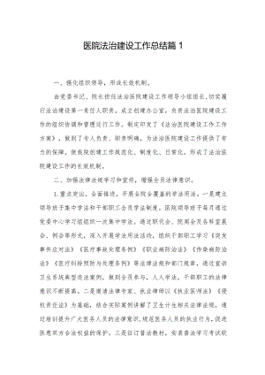 医院法治建设工作总结篇1.docx