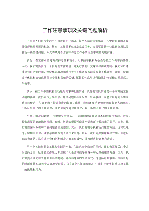 工作注意事项及关键问题解析.docx