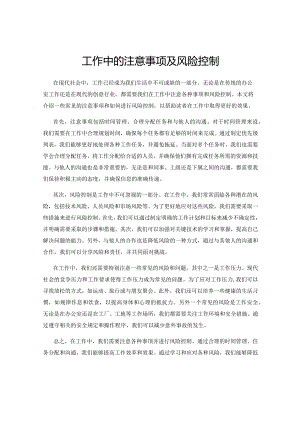 工作中的注意事项及风险控制.docx