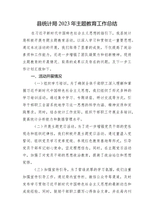 县统计局2023年主题教育工作总结.docx