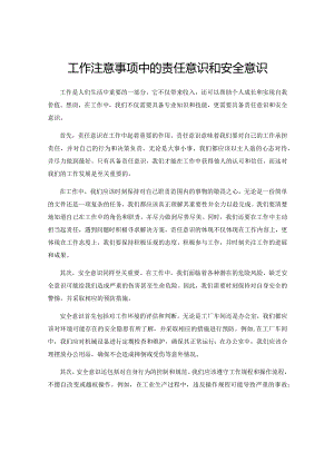 工作注意事项中的责任意识和安全意识.docx