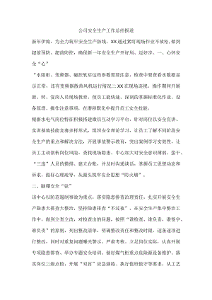 公司安全生产工作总结报道.docx