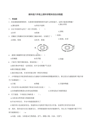 教科版六年级上册科学期末综合训练题.docx