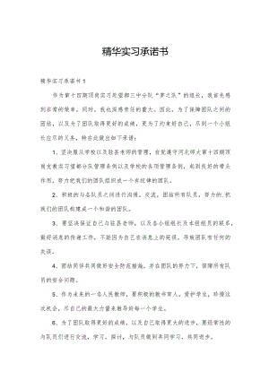 精华实习承诺书.docx