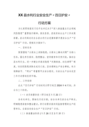 XX县水利行业安全生产“百日护安”行动方案.docx