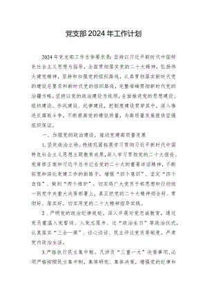 党支部2024年工作计划.docx