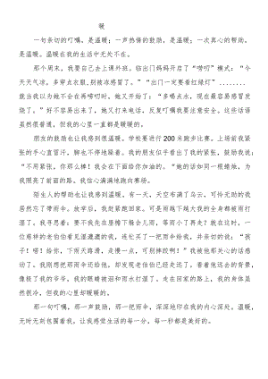 六上期末作文押题：围绕中心意思写-暖.docx