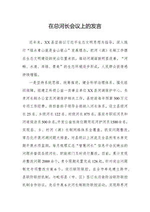 在总河长会议上的发言.docx