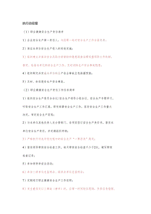 执行总经理职业健康安全生产责任清单及工作任务清单.docx