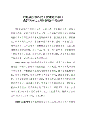 经验做法：以抓实抓细农民工党建为突破口 念好四字诀加强村后备干部建设.docx