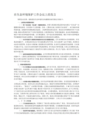 在生态环境保护工作会议上的发言.docx
