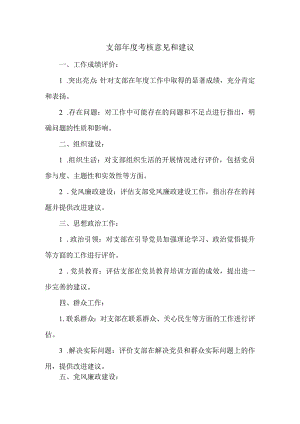 支部年度考核意见和建议.docx