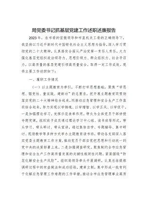 局党委书记抓基层党建工作述职述廉报告.docx