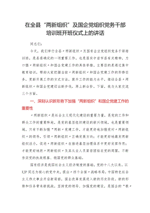 在全县“两新组织”及国企党组织党务干部培训班开班仪式上的讲话.docx