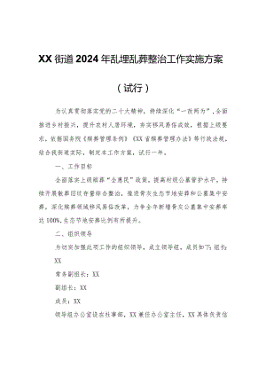 XX街道2024年乱埋乱葬整治工作实施方案（试行）.docx