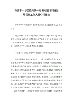 市铸牢中华民族共同体意识专题培训班基层民族工作人员心得体会.docx