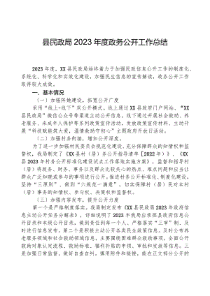 县民政局2023年度政务公开工作总结.docx