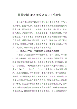 某某集团2024年度共青团工作计划.docx