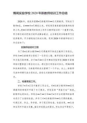 博闻实验学校2020年新教师培训工作总结.docx