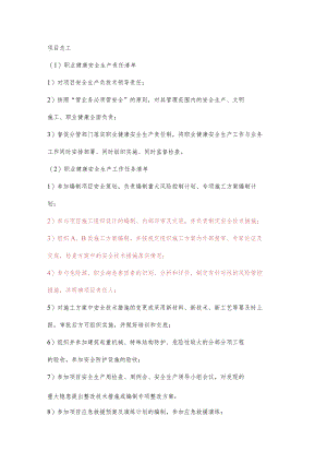 项目总工职业健康安全生产责任清单及工作任务清单.docx