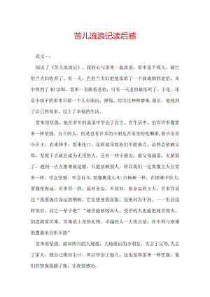 苦儿流浪记读后感.docx