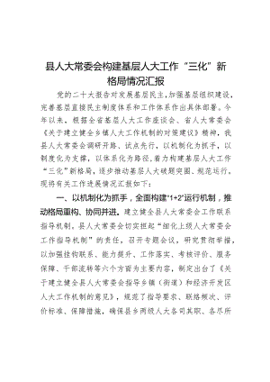 县人大常委会构建基层人大工作“三化”新格局情况汇报.docx