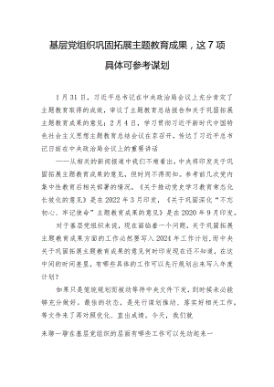 基层党组织巩固拓展主题教育成果这7项具体可参考谋划.docx