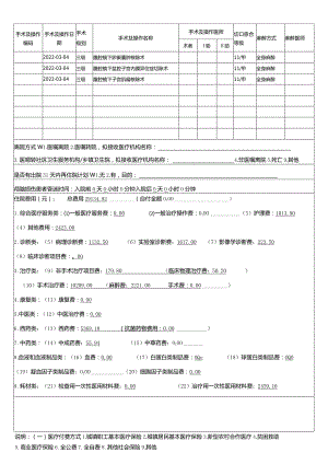 手术费用清单.docx