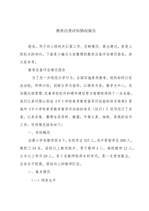 教育自查评估情况报告.docx