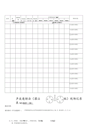 声波透射法灌注桩成桩参数及检测记录表.docx
