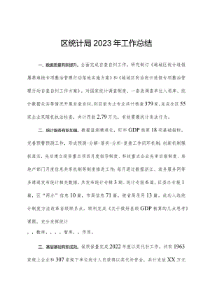 区统计局2023年工作总结.docx