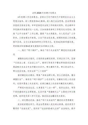法院2024年党建计划要点.docx
