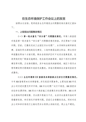 在生态环境保护工作会议上的发言.docx