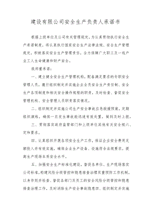 建设有限公司安全生产负责人承诺书.docx