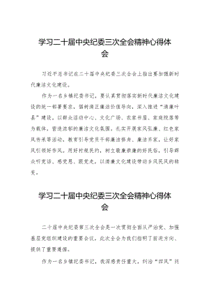 纪委书记关于二十届中央纪委三次全会精神的学习体会十九篇.docx