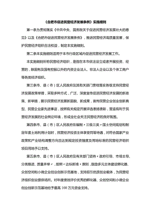 《合肥市促进民营经济发展条例》实施细则.docx