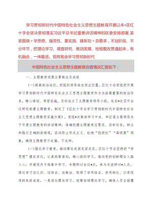 区红十字会第二批主题教育自查报告.docx