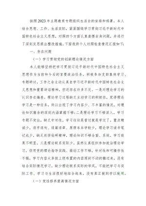 党员干部个人2023年主题教育专题组织生活会对照检查材料.docx