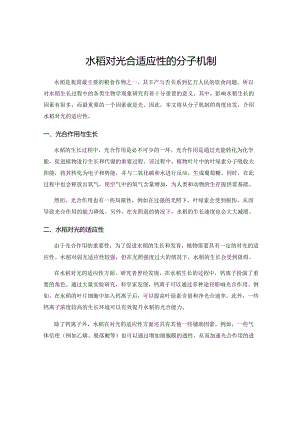水稻对光合适应性的分子机制.docx