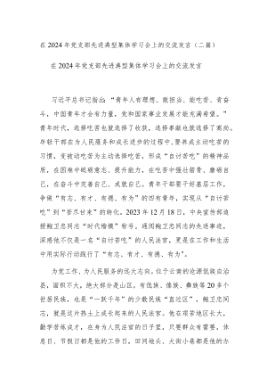 在2024年党支部先进典型集体学习会上的交流发言(二篇).docx
