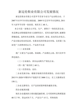 新迈伦鞋业有限公司发展情况.docx