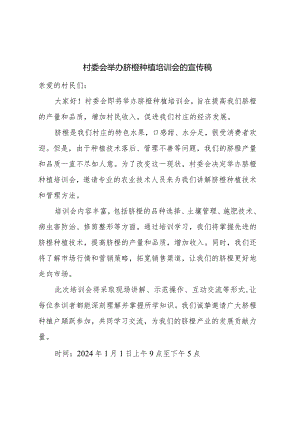 村委会举办脐橙种植培训会的宣传稿.docx